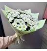 Хризантемы ромашковые 11шт 2