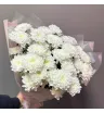 хризантемы кустовые 1