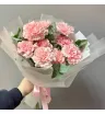 Нежные диантусы