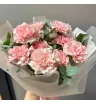 Нежные диантусы 1