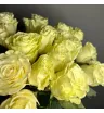 Моно из 19 белых роз 3
