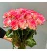 Роза Джумлия 19 шт 2