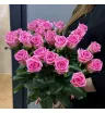 Розовые розы 25шт 1