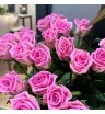 Розовые розы 25шт 2