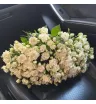 Моно из белых кустовых роз 3