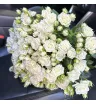 Моно из белых кустовых роз 1