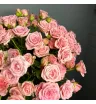 19 кустовых роз 1