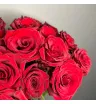 19 красных роз 3