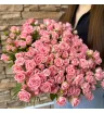 51 кустовая роза 2