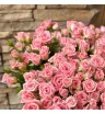 51 кустовая роза 1