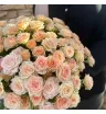 Моно из 31 кустовой розы 1