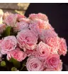 Моно из 31 розовой кустовой розы 1