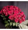 Моно из 31 красной розы 2