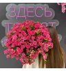 Премиум букет «Симпатия»