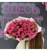 Монобукет «Нежный привет»