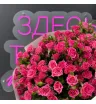 Премиум букет из кустовых роз «Признание» 4