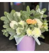 Композиция из нобилиса «Новогодняя» 4