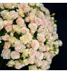 Букет из 51 кустовой розы «Нежное послание» 3