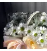 «Поле хризантем» 4