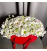 Композиция «LOVE» 3