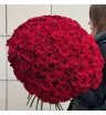 Монобукет из красных роз «Алая» 3