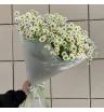 Монобукет «Ромашковое поле»