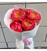 Букет из шикарных пионов «Кораллы»