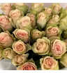 Монобукет из розы Кения «Роза счастья» 3
