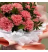 Монобукет «Нежные диантусы» 3