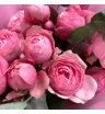 Монобукет «Нежные бутоны» 4