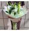 Монобукет «Изящная лилия» 1