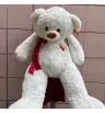 Большой мишка 1